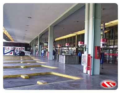 Sector plataformas
